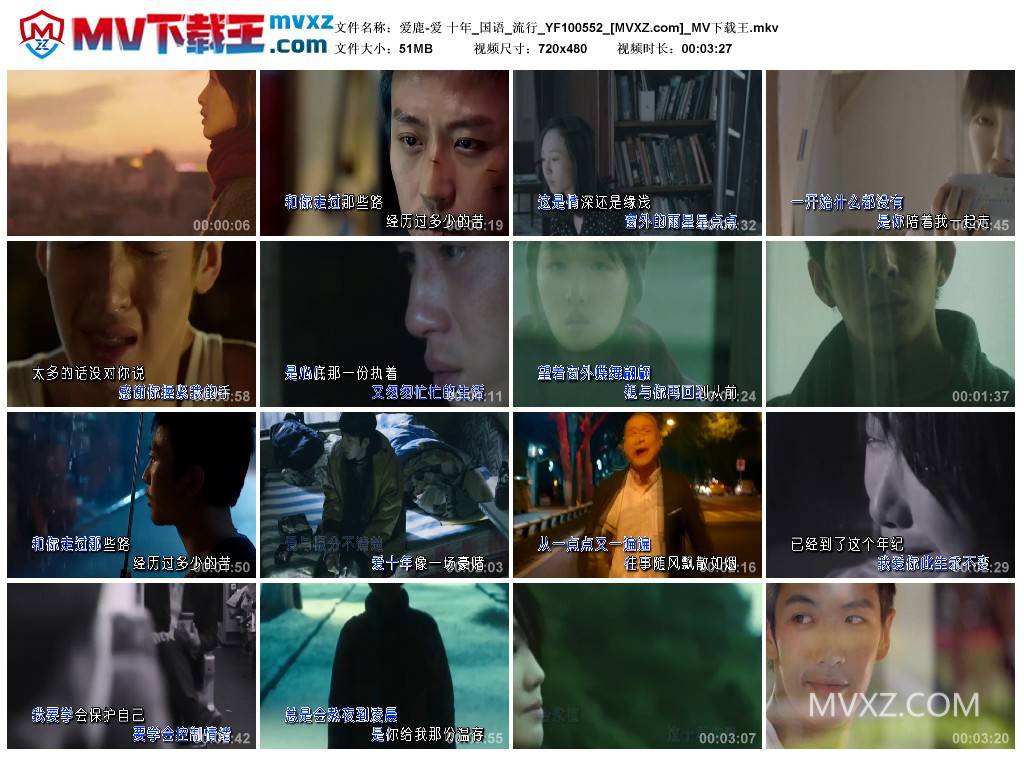 爱鹿-爱 十年_国语_流行_YF100552